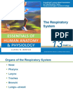 The Respiratory System: Part A
