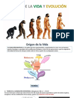 1.origen y Evolución - Biologia