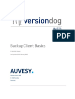Backupclient Basics: © Auvesy GMBH