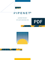 PIPENET Brochure - Spanish