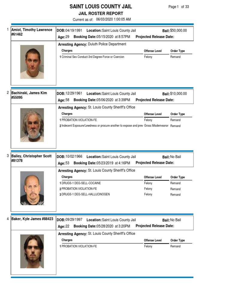 SLCJ Jail Roster PDF Misdemeanor Felony