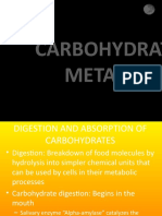 Carbohydrate metabolism