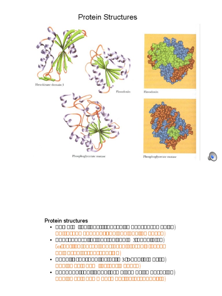 The Structural Hierarchy Of Proteins An Explanation Of Primary