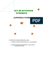 20_proiect_de_activitate[1.doc