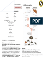 Devoir de La SVT Sur La Localisation de L'information À L'origine Des Caactères Hériditaires