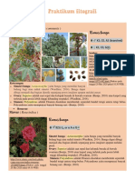 Agni Annisa Putri - 004 - Fitografi PDF