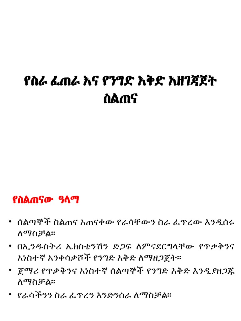 BUSINESS PLAN PROPOSAL IN AMHARIC visual data 3
