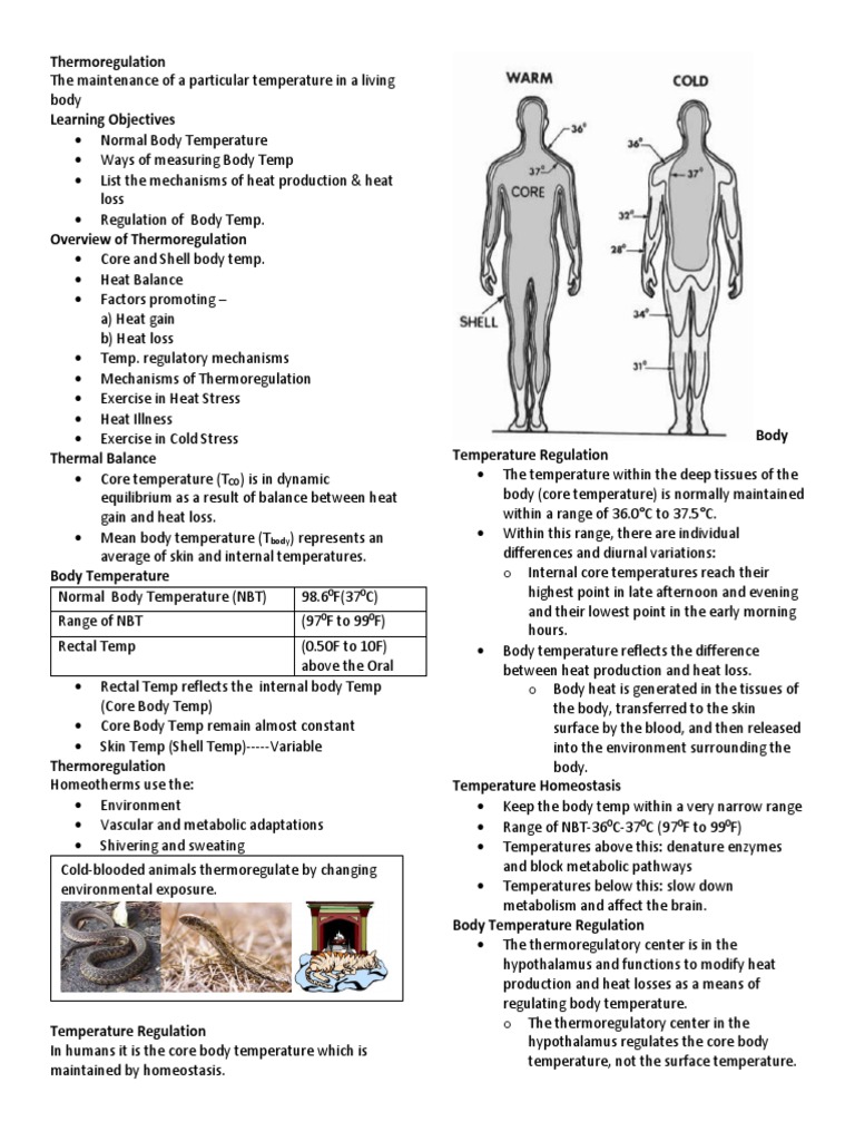 Thermoregulation-Pure PPT Based | PDF | Fever | Thermoregulation