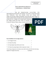 Kunci Identifikasi Serangga