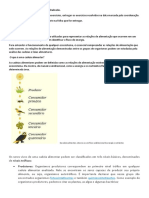 Cadeia alimentar e ciclos biogeoquímicos 1º.docx