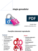 Patologia-gonadelor-18011235029941819186.pptx
