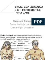 Sist.-h-h.-Tumor.-h-re.-Bolile-cu-hipersecreție-h-h.2184412469109898758