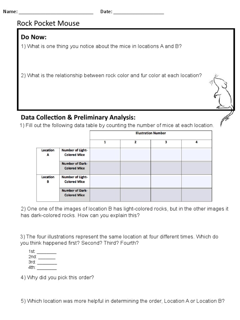 Rockpocketmouse Handouts PDF Mouse Evolution