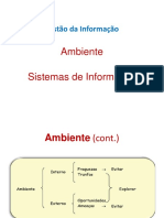 Gestão Da Informação - Ambiente - Sistemas