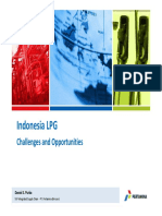 Pertamina - Indonesia LPG Chalenge & Opportunities PDF