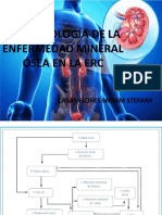 Fisiopatología de La Enfermedad Mineral Ósea en La