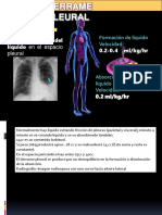 Derrame Pleural R Flores Color