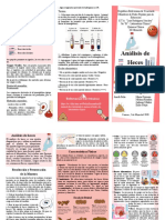 Triptico Analisis General de Heces PDF