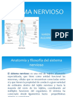 Sistema nervioso: la red que controla el cuerpo