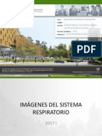 Sem 5 Anatomía Pulmonar