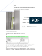 Analisis de Guía 4