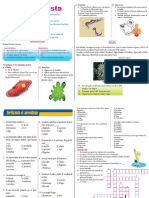 Reino Protista: organismos eucariotas unicelulares y pluricelulares