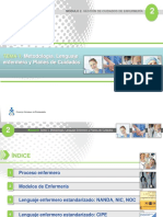 Metodologia Enfermera CIPE PDF