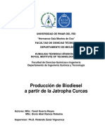 Produccion Biodiesel Partir Jatropha Curcas