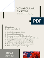 Cardiovascular Anatomy and Physiology Guide