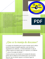 MANIJA DE DISEÑO.pptx