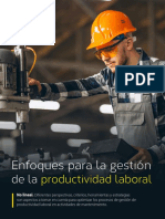 Enfoques para La Gestión de La Productividad Laboral - P21E29