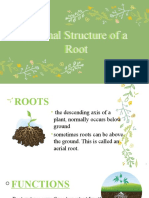 Internal Structure of A Root