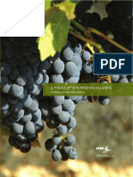 A Vinha e o Vinho no Algarve.pdf