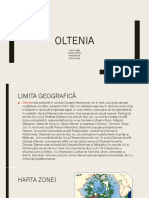 Oltenia-Proiect Română PDF