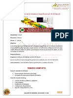 14.-Simulacion de la Voladura Superficial con JK 2D Bench.pdf