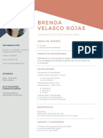 CV Brenda Velasco Rojas