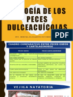 Etología de Los Peces Dulceacuícolas