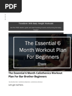 The Essential 6 Month Calisthenics Workout Plan For Bar Brother Beginners