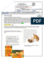 Guia de Aprendizaje Reproducción Vegetal y Fungí - C. Naturales - Cuarto - Sem 13-14