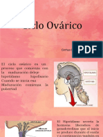 TAREA 10 Ciclo Ovarico