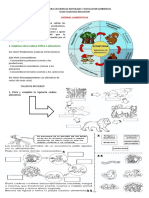 Ecologia Incluion FOLIO