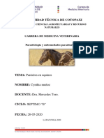 Cynthiamunoz PDF