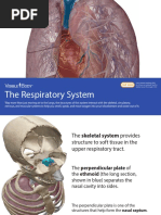 VisibleBody - Respiratory System EBook - 2017