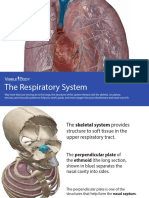 VisibleBody - Respiratory System EBook - 2017