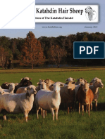 A Guide To Katahdin Hair Sheep: Special Edition of The Katahdin Hairald