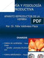 Anatomía y Fisiología Reproductiva de La Hembra