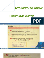What Plants Need: Light and Water