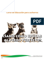 CURSO Cómo Educar Al Cachorro Perfecto PDF