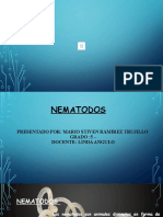 NEMATODOS