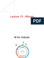 Lecture 15-Cell Biology